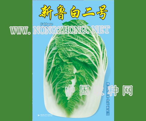 新鲁白二号